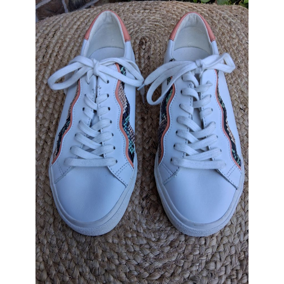 Madewell Sidewalk Low -Top Sneakers Sz 9.5 Snake Embossed Leather Wave EUC - Picture 3 of 13